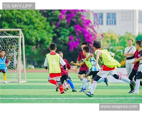 上海浦东足球崛起之路探索球队发展与城市文化的深度融合