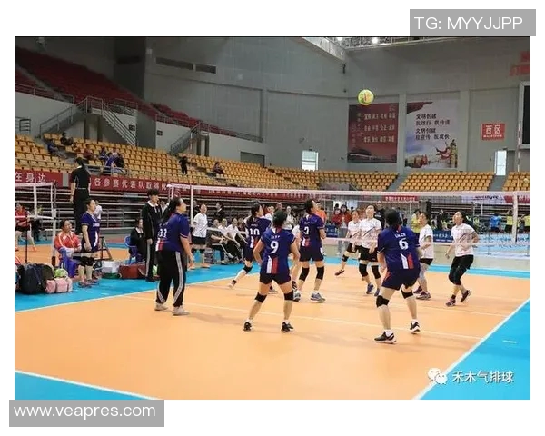 上海排球队的训练与比赛状态全景揭秘，展现排球巨献的魅力与挑战