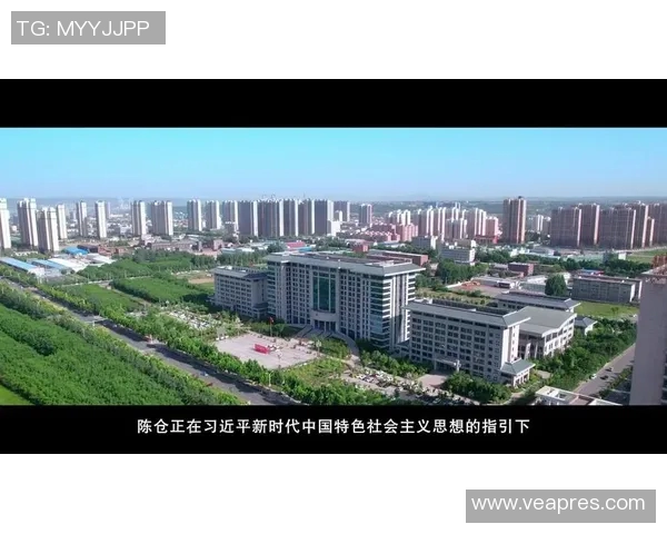 上海奉贤足球崛起之路探索地方足球发展新模式与未来展望