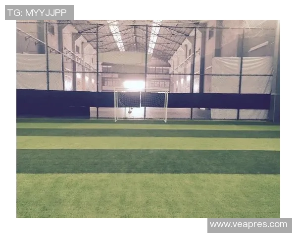 富鼎足球引领新潮流打造全新足球文化与社区互动平台