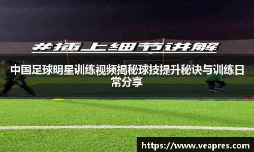 3377体育赛事品牌